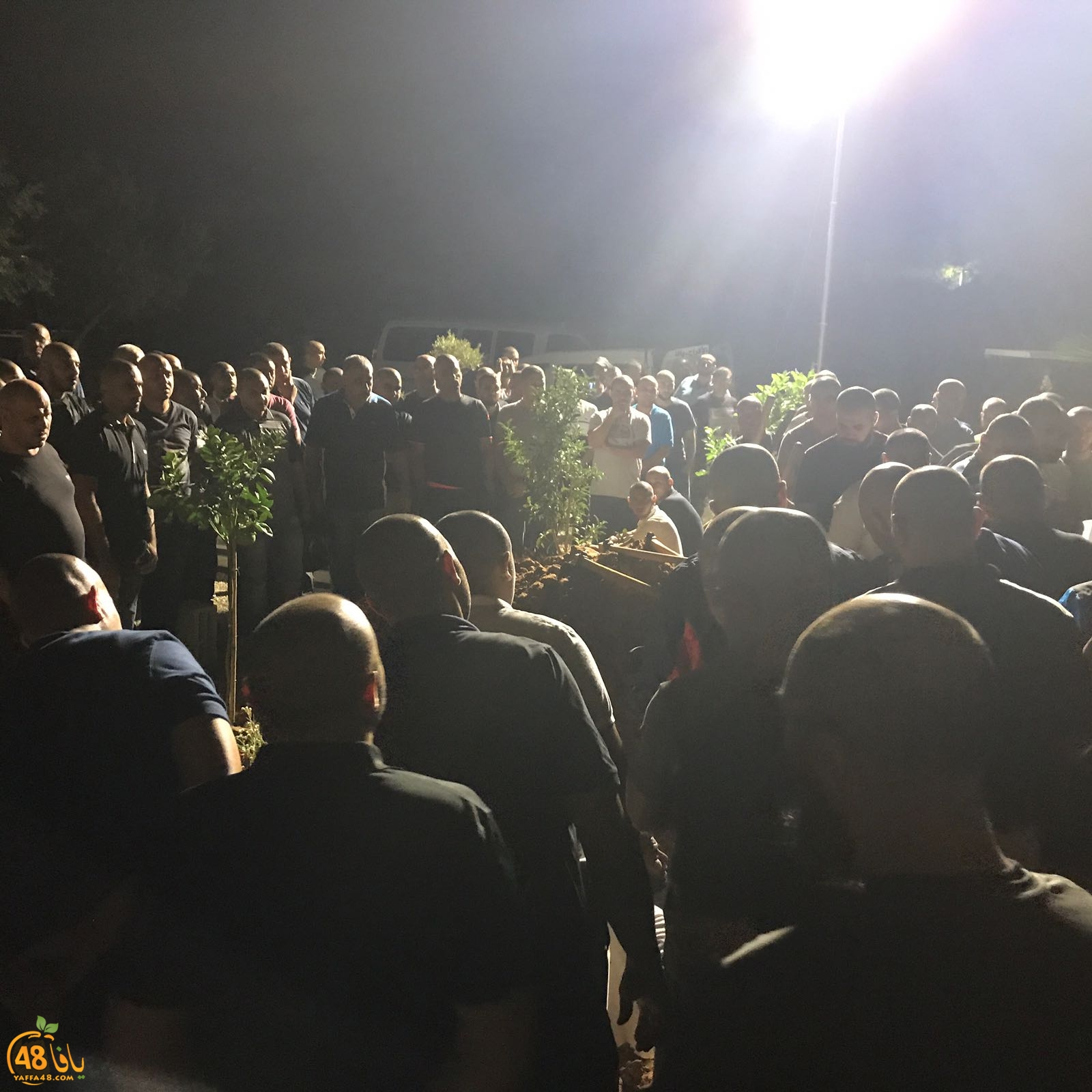 WhatsApp Image 2017-09-23 at 06.10.44.jpeg